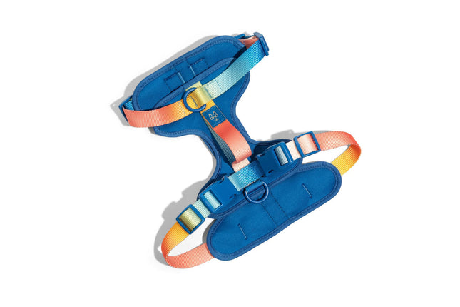 Pink Papyrus - Atlas Blue Harness