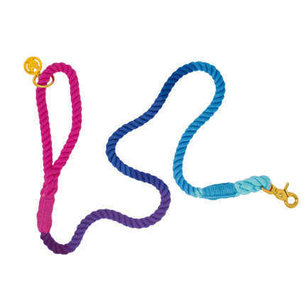 Pink Papyrus - Rope Leash 6ft in Pixie Purple Pink Blue Ombre