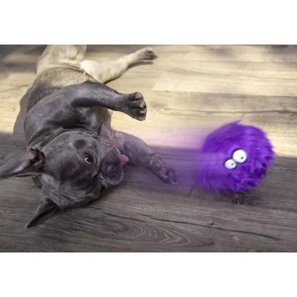 GoDog Furballz Purple