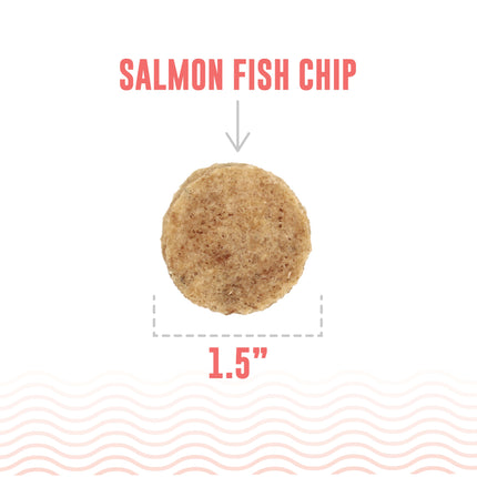 Icelandic Salmon Chips 3oz