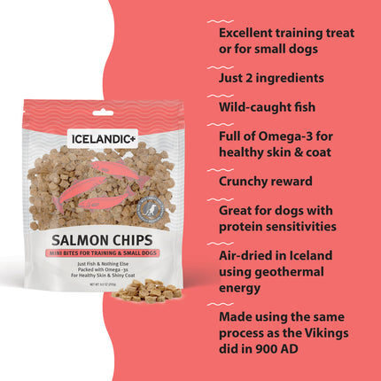 Icelandic Salmon Chips Mini Bites 3oz