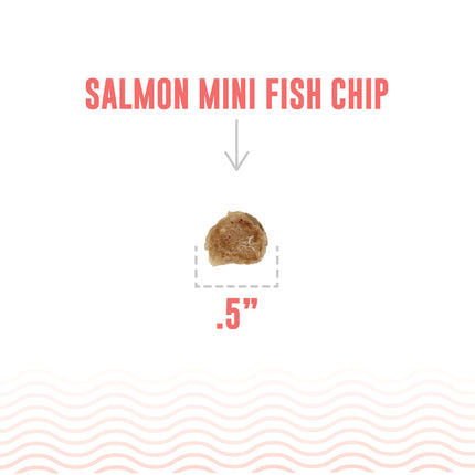 Icelandic Salmon Chips Mini Bites 3oz