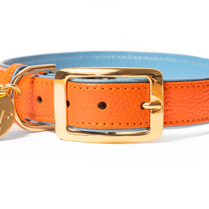 Neighbor Woof Sunset Leather dog collar