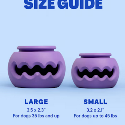 WAG LAB The Squiggle