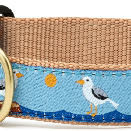 UpCountry Gull Watch Dog Collar