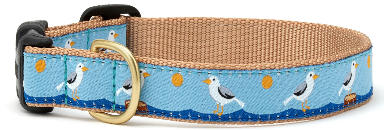 UpCountry Gull Watch Dog Collar