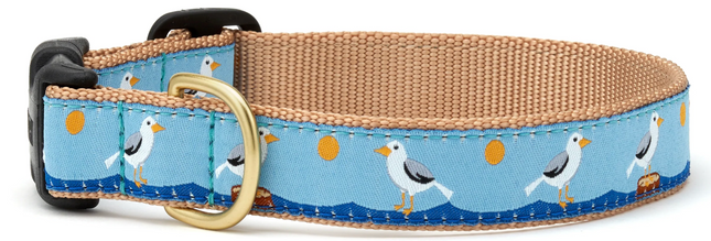 UpCountry Gull Watch Dog Collar
