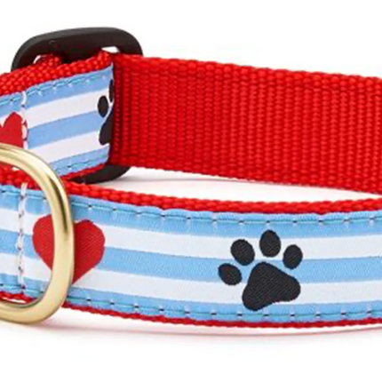 UpCountry PawPrint Stripe Dog Collar