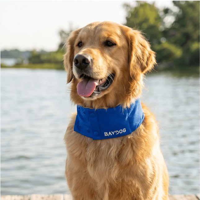Baydog Arctic Bay Cooling Collar Blue