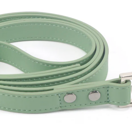 Pistachio Leash
