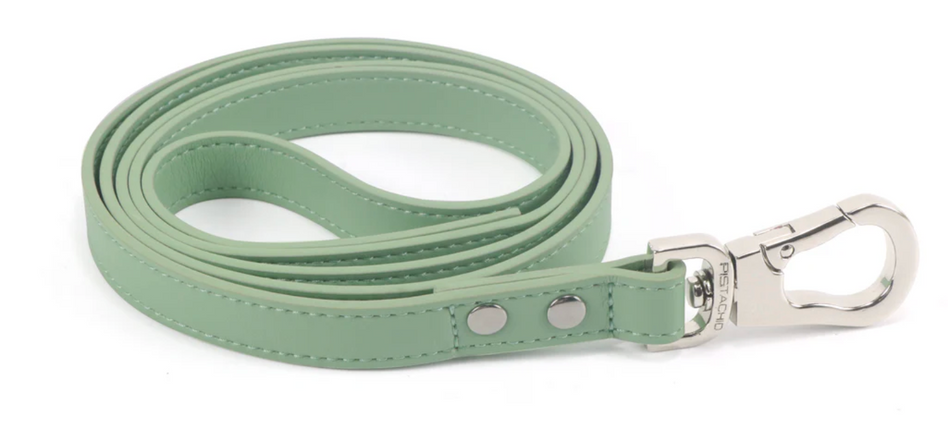 Pistachio Leash