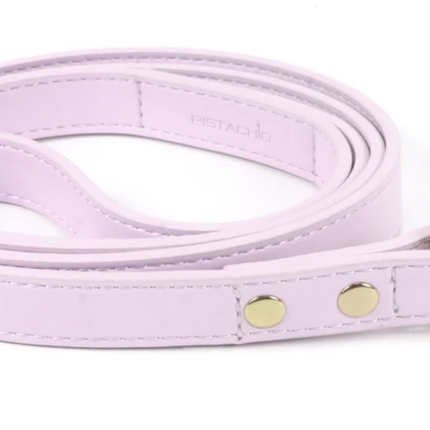 Pistachio Leash