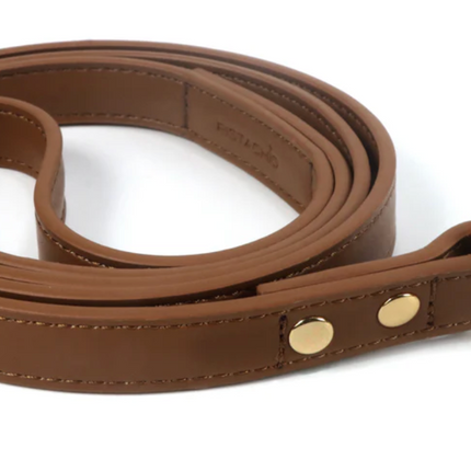 Pistachio Leash