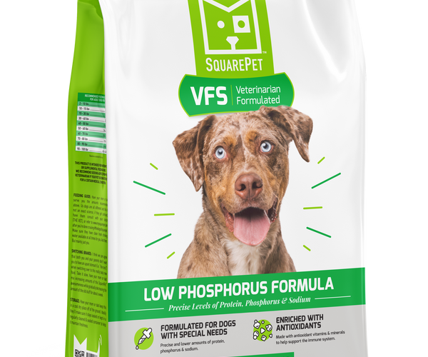 Dog food with low protein and phosphorus cheap