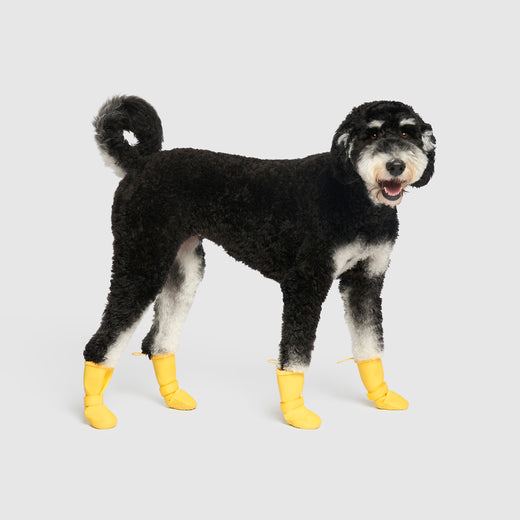 Canada Pooch Waterproof Dog Boots