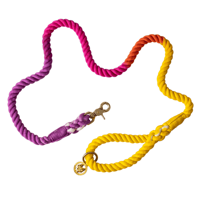 Pink Papyrus - Rope Leash 6ft in Roxy Sunset Ombre