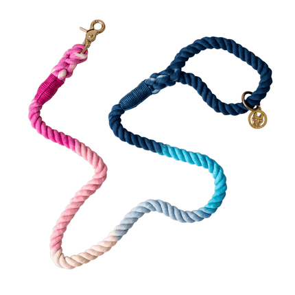 Pink Papyrus - Rope Leash 6ft in Maddox Pink Blue Ombre