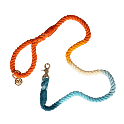 Pink Papyrus - Rope Leash 6ft in Beau Orange Blue Ombre