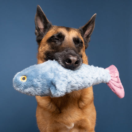 Fluff & Tuff Fitz Fish