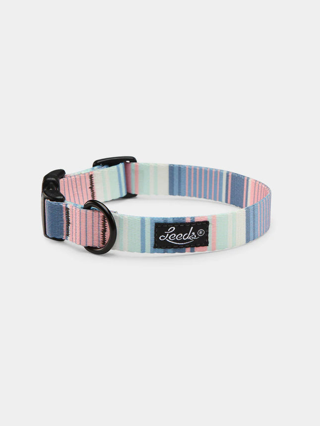 Leeds Dog Collar - Zuma