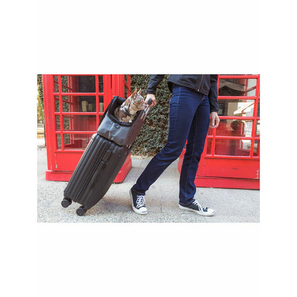 Sleepypod Atom Pet Carrier - Jet Black