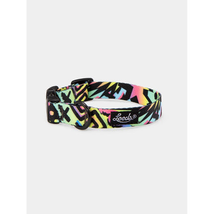 Leeds Dog Collar - Bodhi