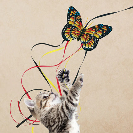 Kong Butterfly Teaser Cat Toy