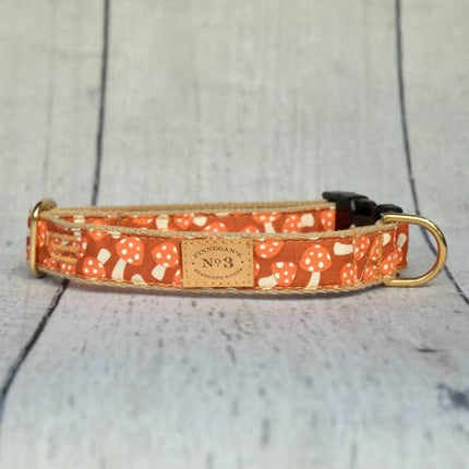 Finnegan's Standard Goods - Creamsicle Mushroom Collar