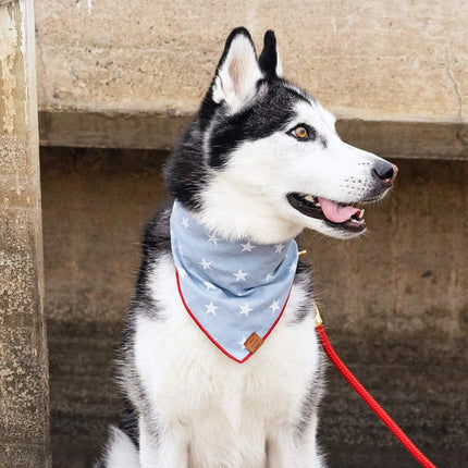 The Foggy Dog - Liberty Dog Bandana