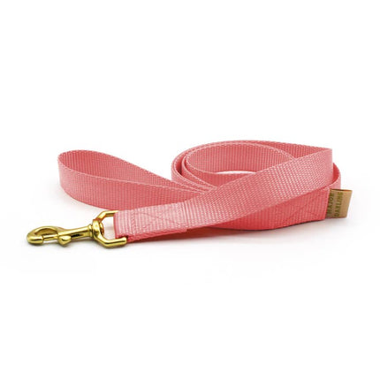Major Darling Leash  3/4" wide / 5' long - Pink