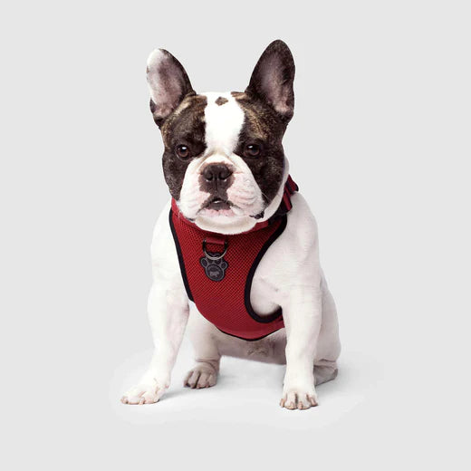 Canada Pooch Everything Harness Mesh Red Decker's Dog + Cat