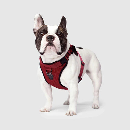 Canada Pooch Everything Harness Mesh - Red