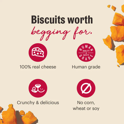The Honest Kitchen - Cheddar Cheese Biscuits 3.5oz