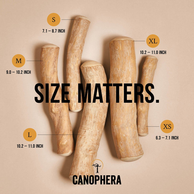 Canophera Natural Coffee Wood Chew Sticks