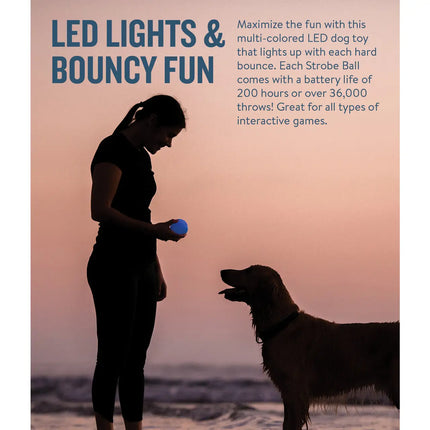 Outward Hound Strobe Light up Ball