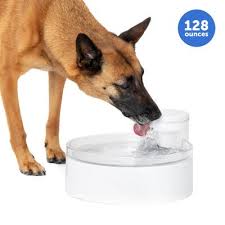 PetSafe Outlast Pumpless Fountain