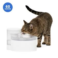 PetSafe Outlast Pumpless Fountain