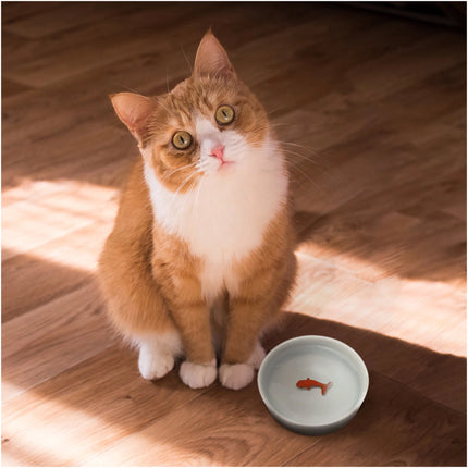 Suck uk Ceramic Pet Bowl