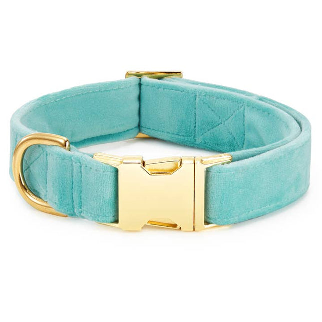The Foggy Dog - Robin's Egg Blue Velvet Dog Collar