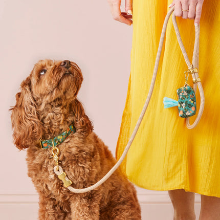 The Foggy Dog Marine Rope Leash - Flax