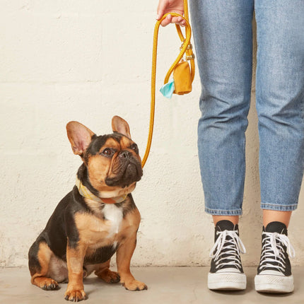 The Foggy Dog Marine Rope Leash - Goldenrod