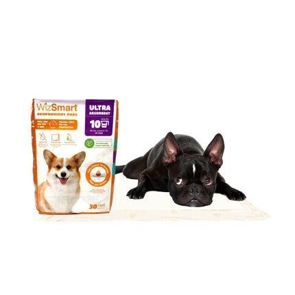 WizSmart - Essentials Potty Pads Ultra