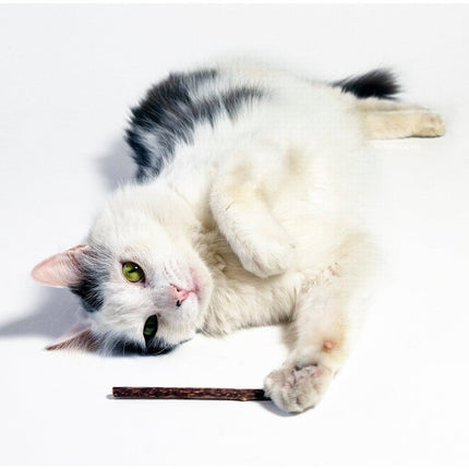 Metro Paws - Metrobliss Silvervine Stix