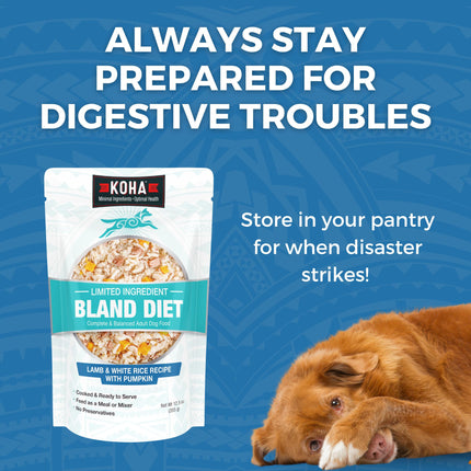 Koha Dog Bland Diets Lamb & White Rice Pouch 12.5oz