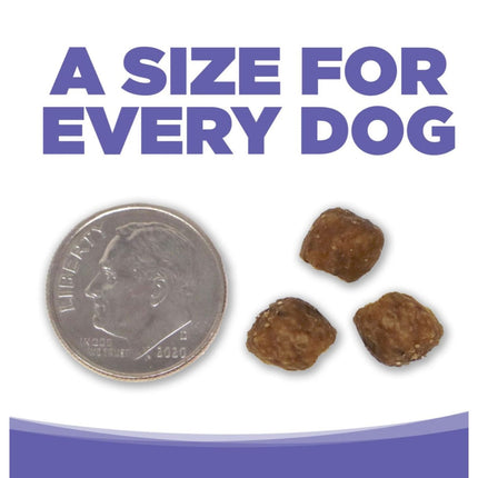 Nutrisource Chicken and Rice Small and Medium Breed Puppy Recipe Dry Dog Food