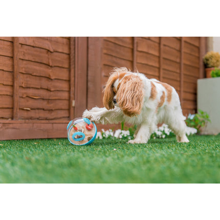 P.L.A.Y Wobble Ball - Blue