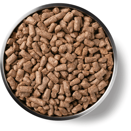 Vital Essentials Duck Mini Nibs Cat 12oz