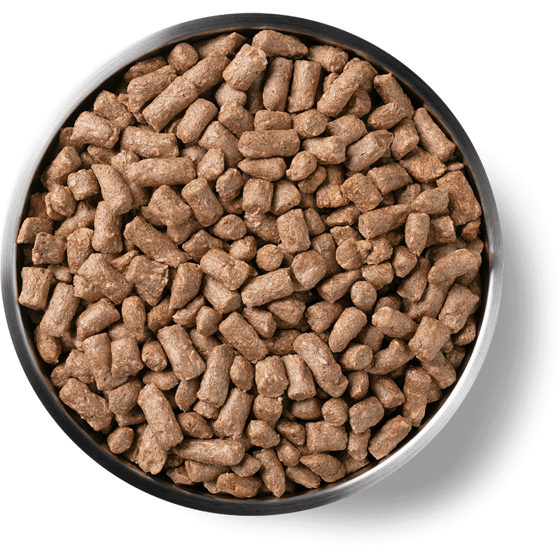 Vital Essentials Chicken Nibs Cat 12oz