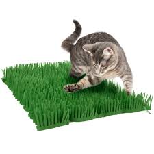 Instincts Meadow Mayhem Cat Toy