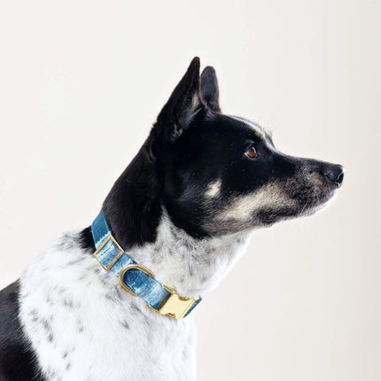 The Foggy Dog Collar - Indigo Mud Cloth